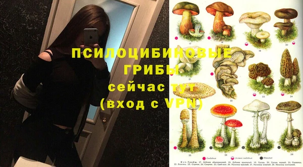 дмт Карталы