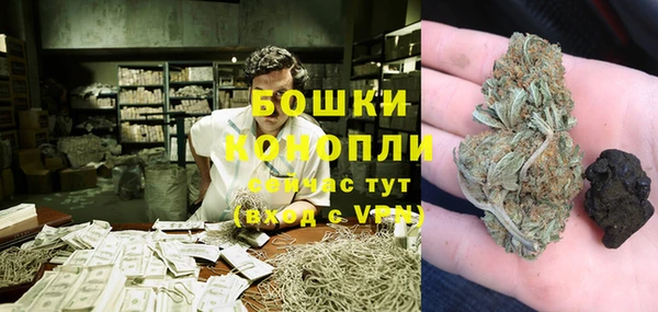 СК Касимов