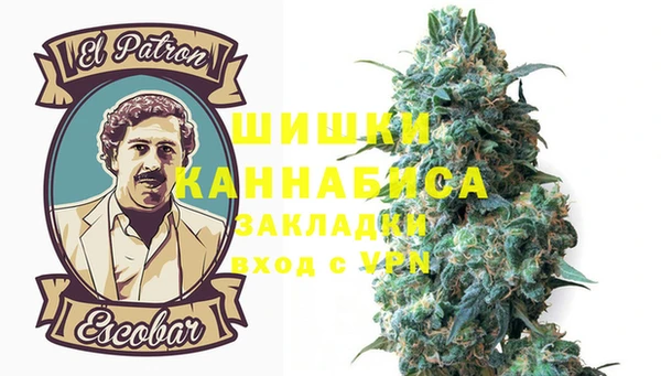 СК Касимов